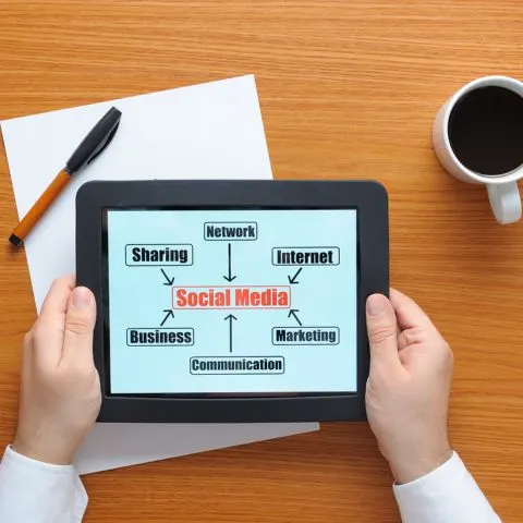 Strategic Timing for Optimal Digital Impact