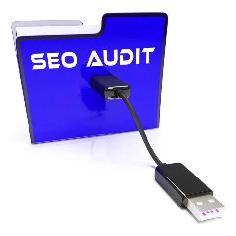 Maximize ROI with Data-Driven SEO Insights