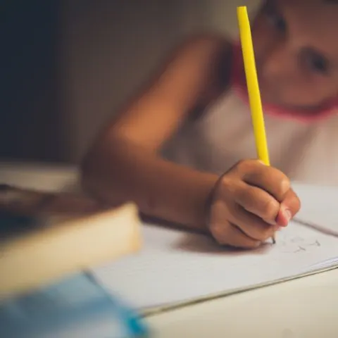 Professional School Management App Development Solutions